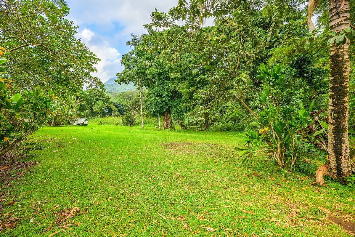 Kauai Listing Image