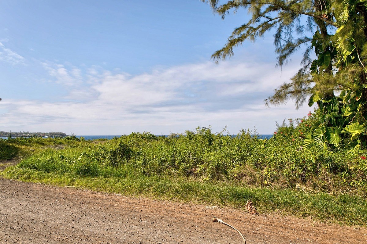 Big Island Listing Image