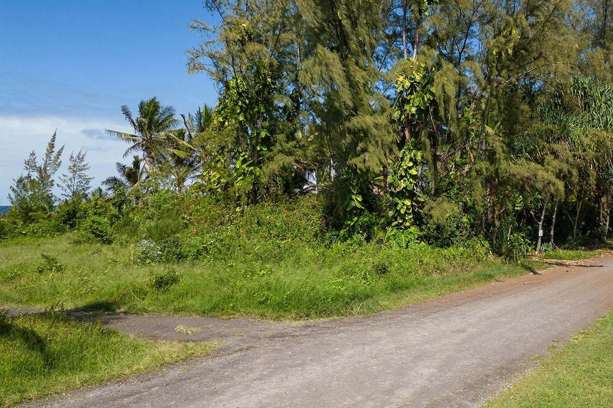 Big Island Listing Image