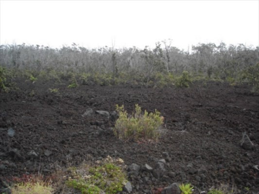 Iwalani Parkway OCEAN VIEW HI 96737