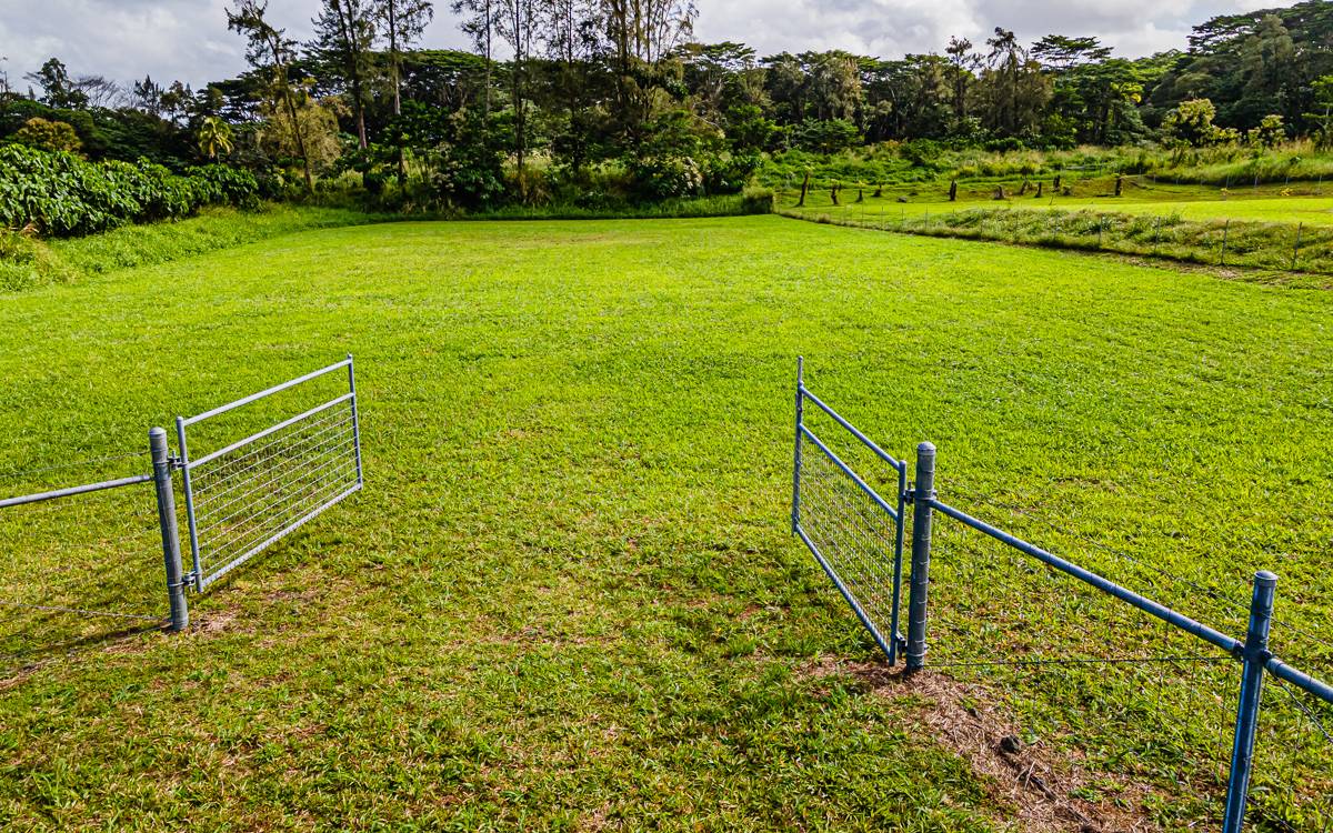 16-2231 MAMAKA ST KEAAU HI 96749