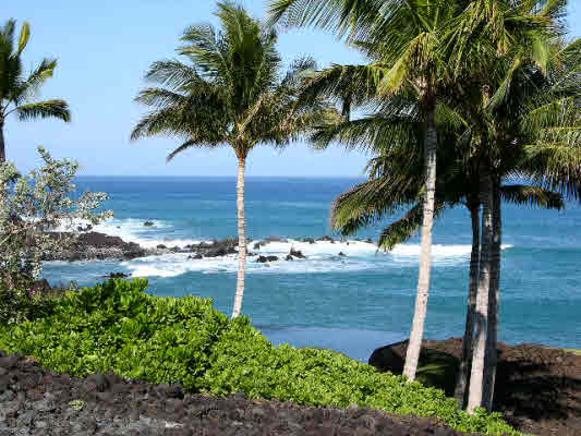 68-1088 HONOKAOPE PL, Kamuela, HI 96743