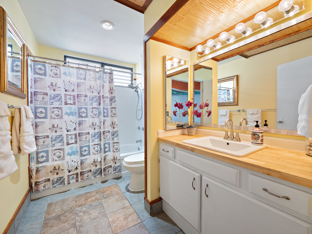 Big Island Listing Image