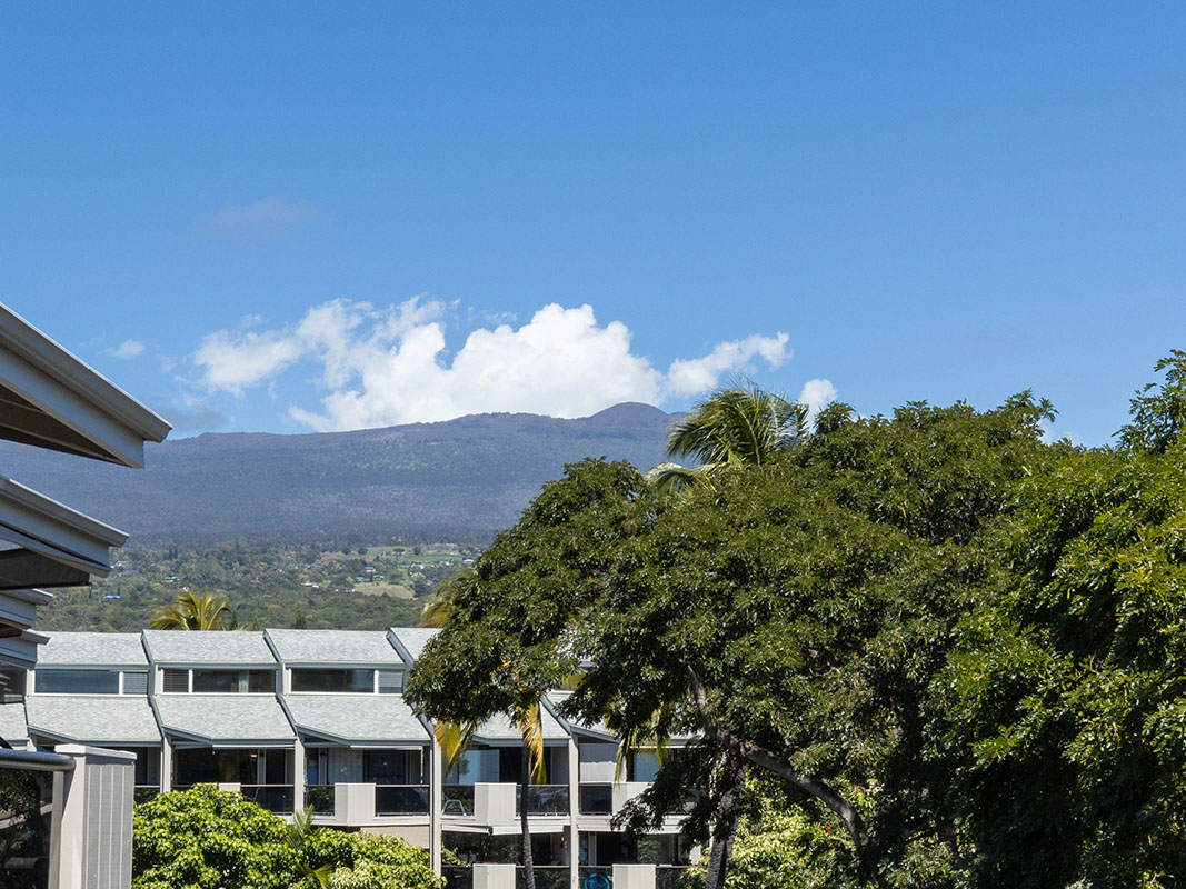 Big Island Listing Image