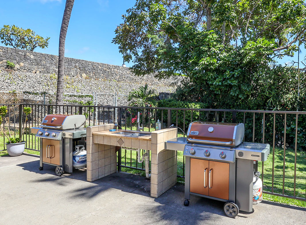 Big Island Listing Image