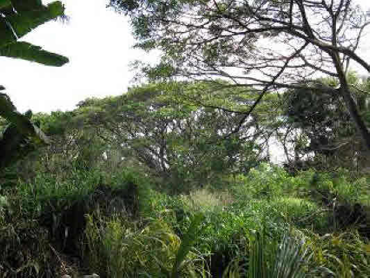 3686 AKEA RD, HANAPEPE, HI, 96716, USA