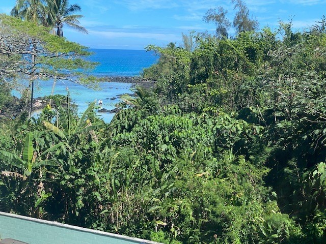 Big Island Listing Image