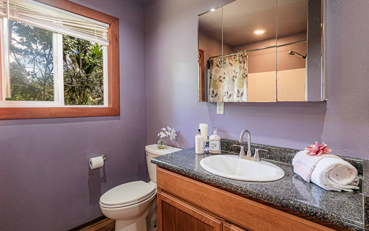 Big Island Listing Image