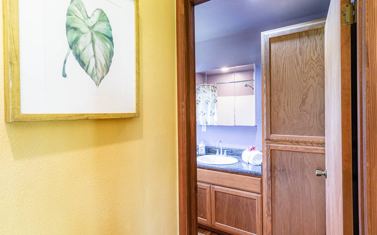 Big Island Listing Image