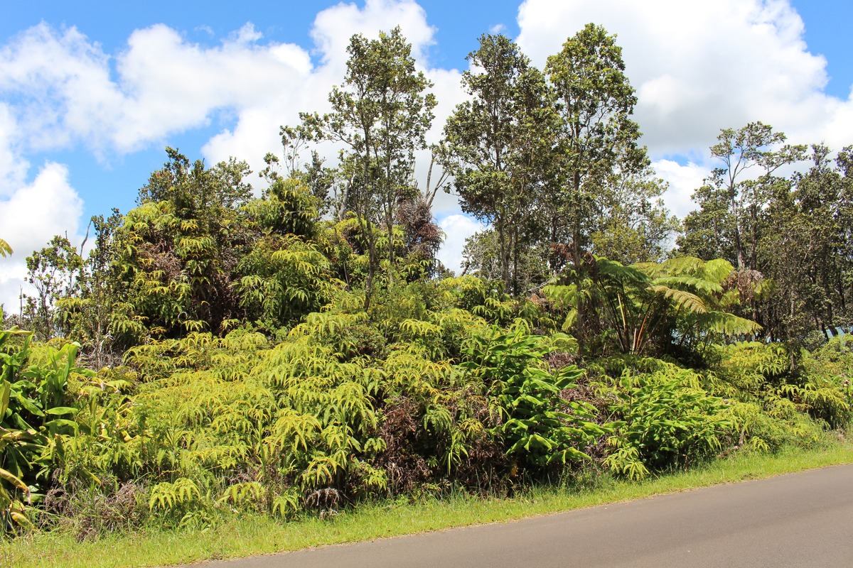 NAHELENANI ST VOLCANO HI 96785