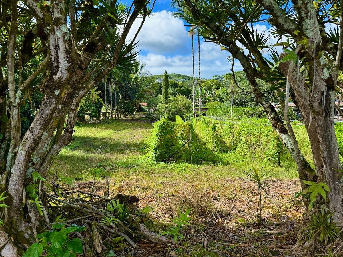 5792 KAHILIHOLO RD KILAUEA HI 96754