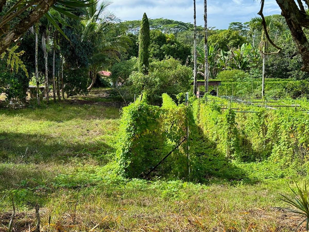 5792 KAHILIHOLO RD KILAUEA HI 96754