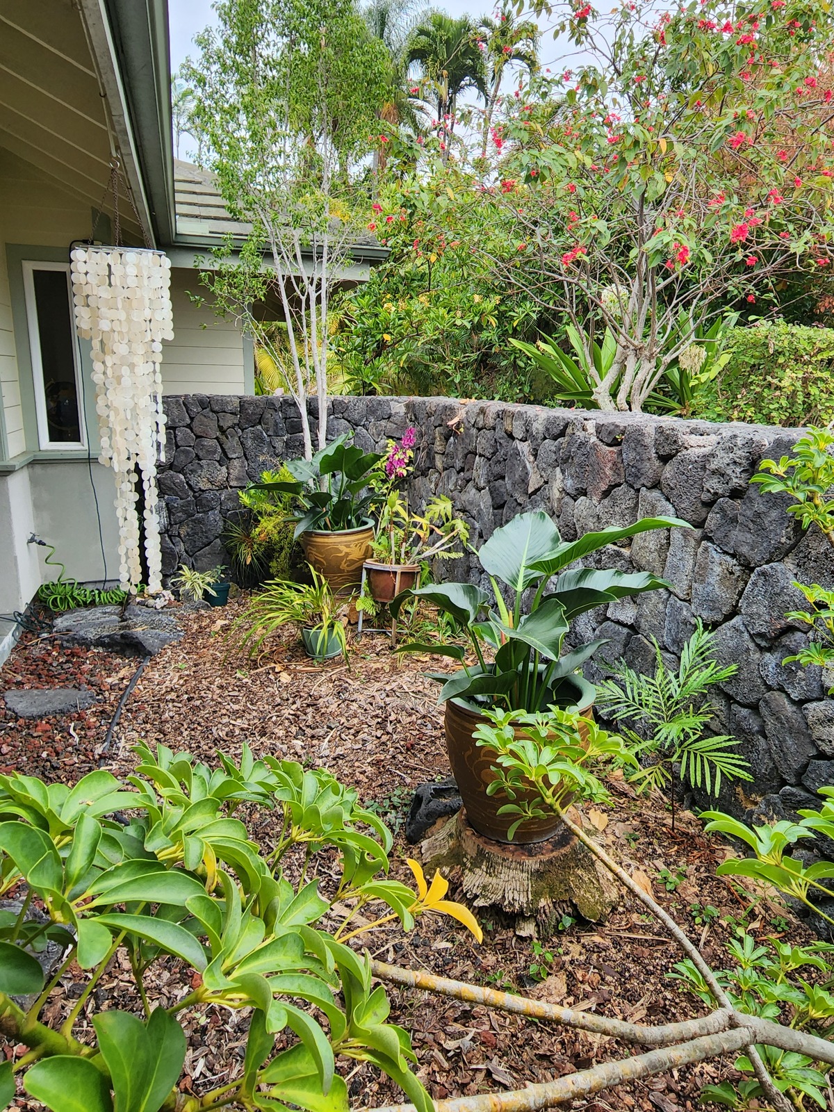 Big Island Listing Image