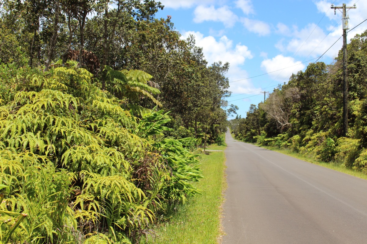 NAHELENANI ST VOLCANO HI 96785