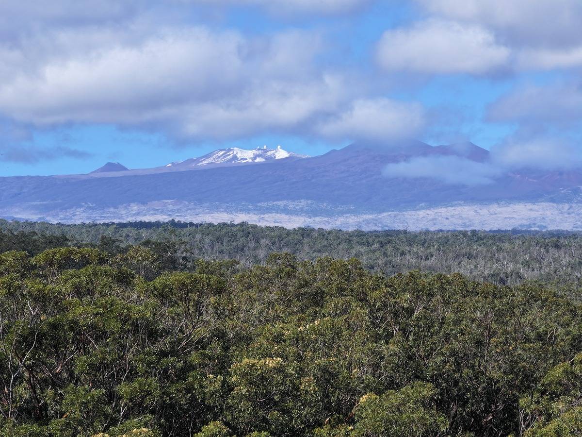 29-820 Chin Chuck Rd #lot6 HAKALAU HI 96710