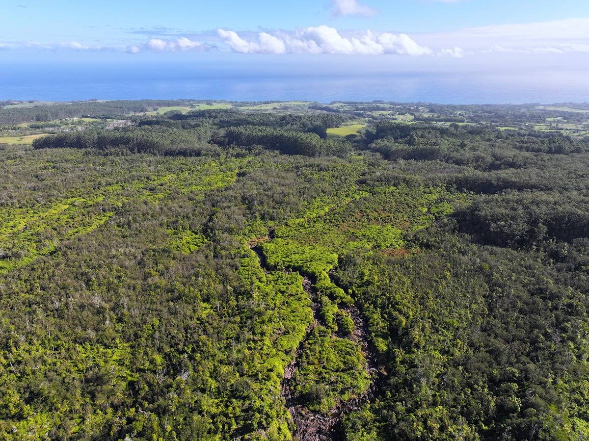 29-820 Chin Chuck Rd #lot6 HAKALAU HI 96710