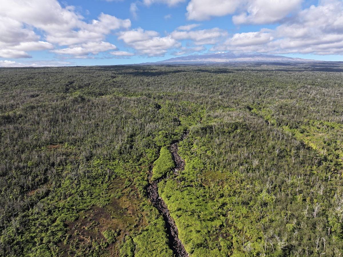 29-820 Chin Chuck Rd #lot6 HAKALAU HI 96710
