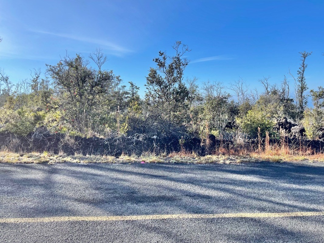 PALM PKWY OCEAN VIEW HI 96737