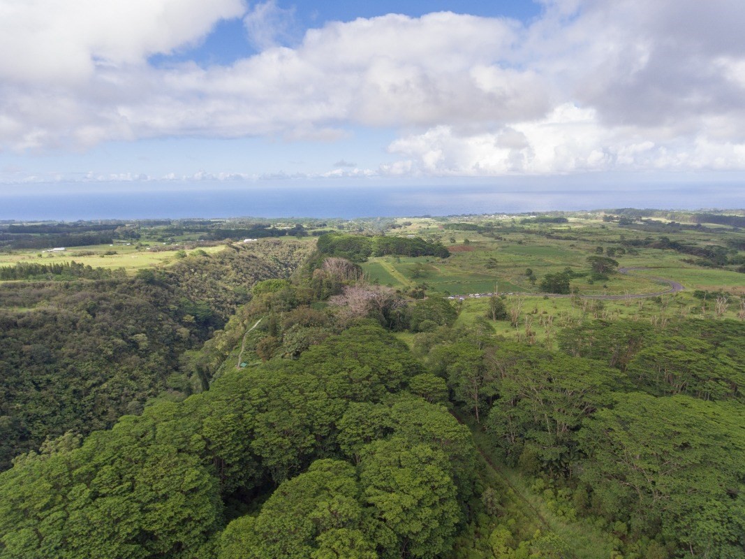 Big Island Listing Image