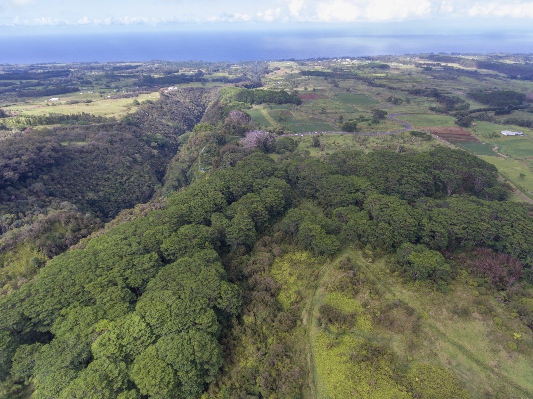 Big Island Listing Image