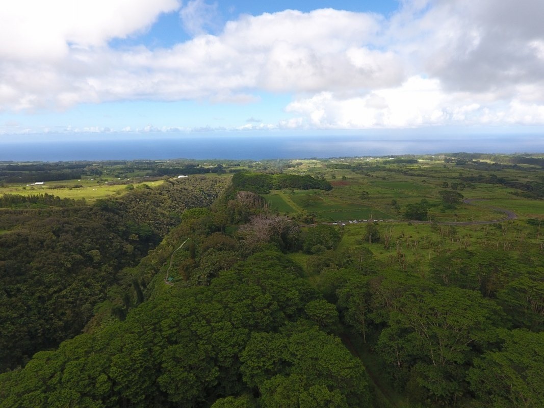 Big Island Listing Image