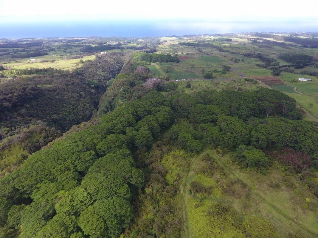 Big Island Listing Image