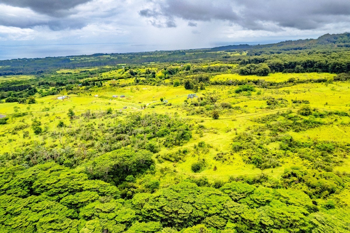 Big Island Listing Image