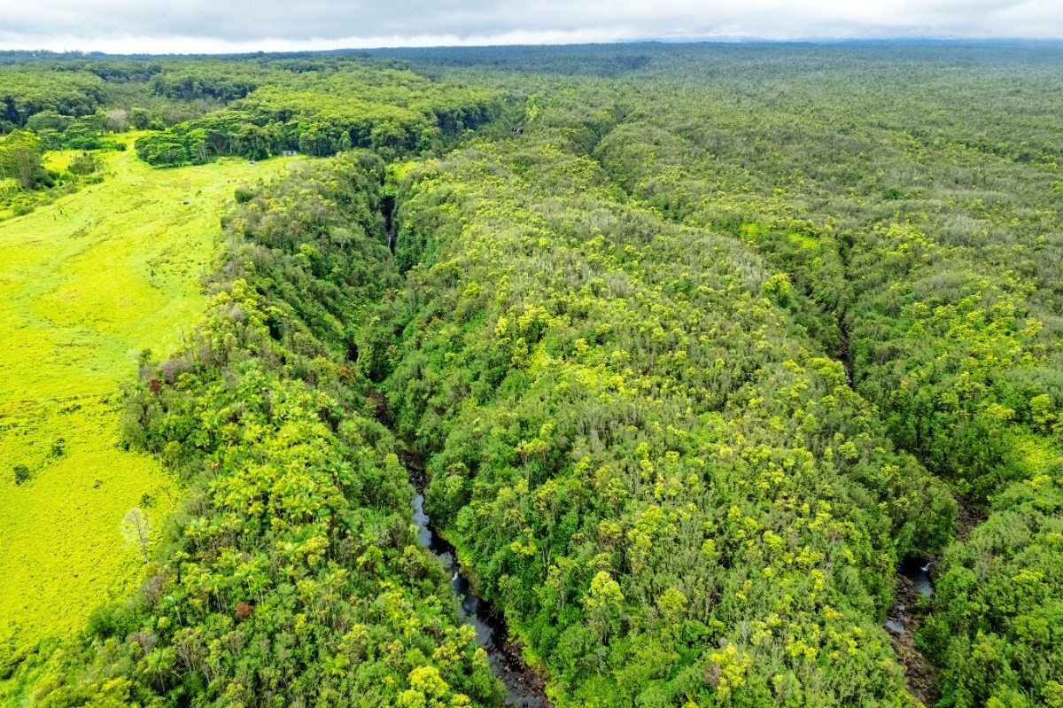 Big Island Listing Image