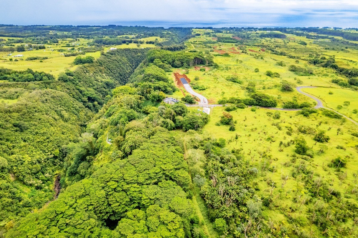 Big Island Listing Image