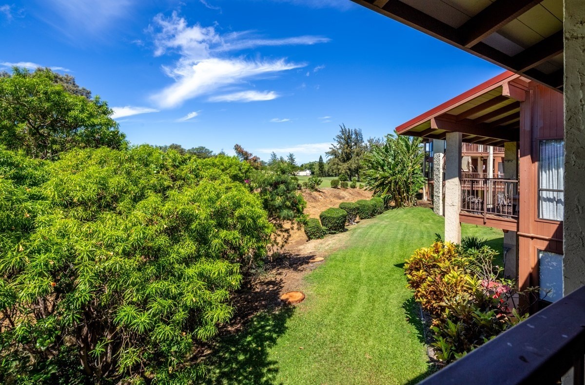 Big Island Listing Image