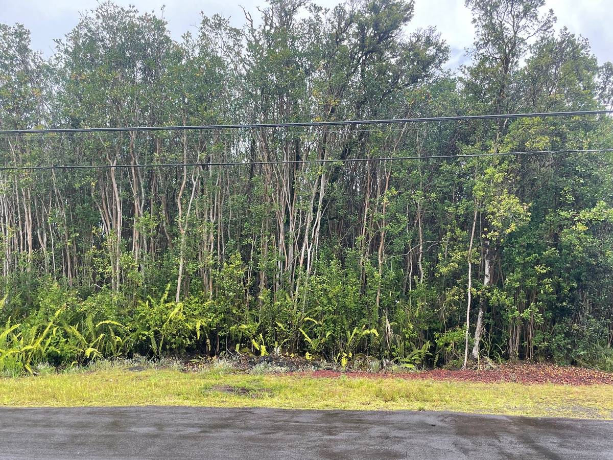 LEHUA ST MOUNTAIN VIEW HI 96771