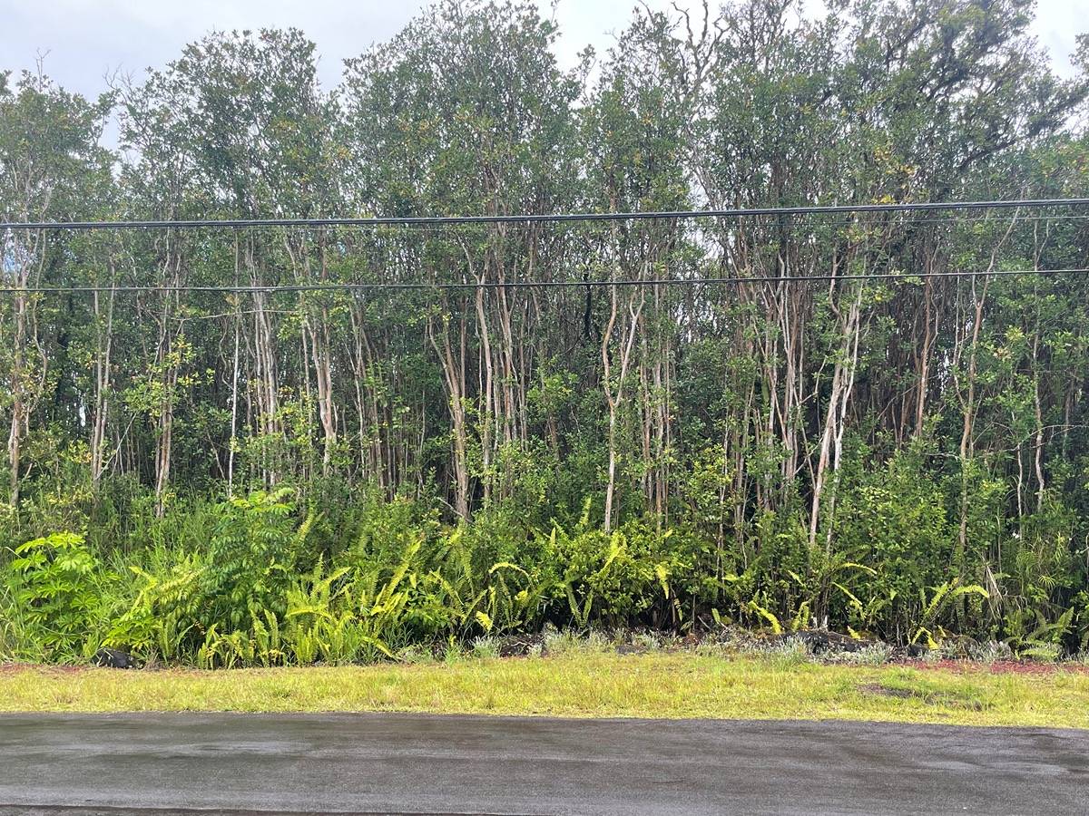 LEHUA ST MOUNTAIN VIEW HI 96771