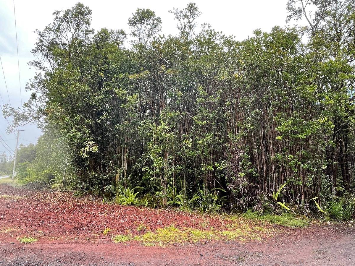 LEHUA ST MOUNTAIN VIEW HI 96771