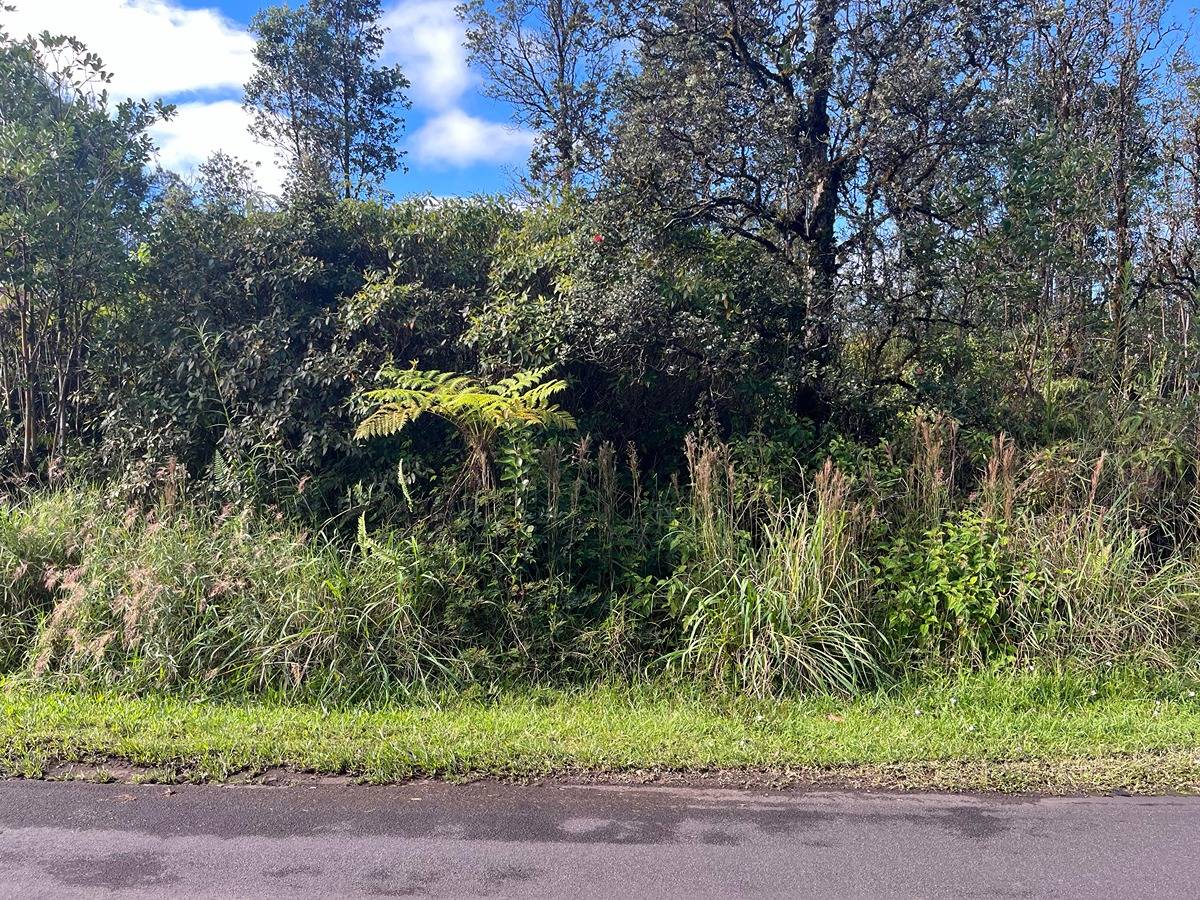 11-3229 PIKAKE ST MOUNTAIN VIEW HI 96771