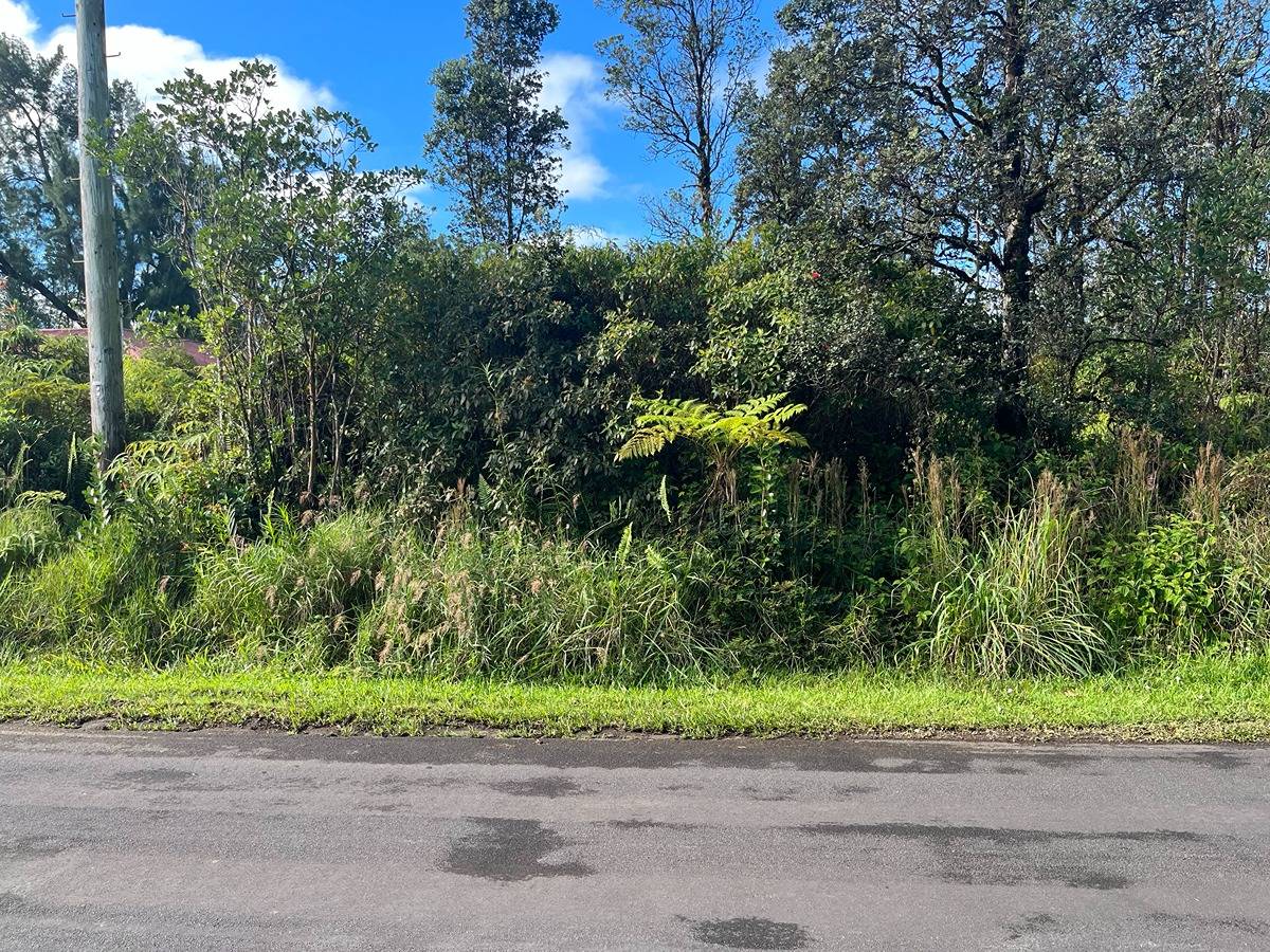 11-3229 PIKAKE ST MOUNTAIN VIEW HI 96771