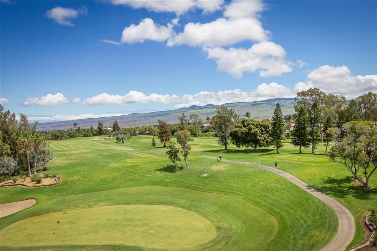 Big Island Listing Image