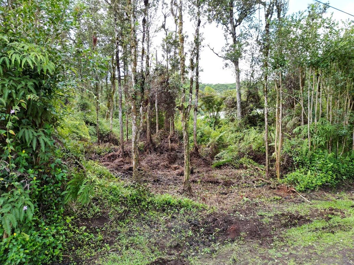 OAHU RD PAHOA HI 96778