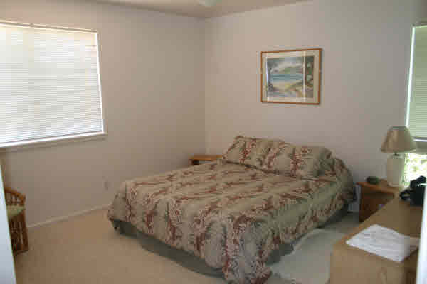 3995 PAI ST, KALAHEO, HI, 96741, USA
