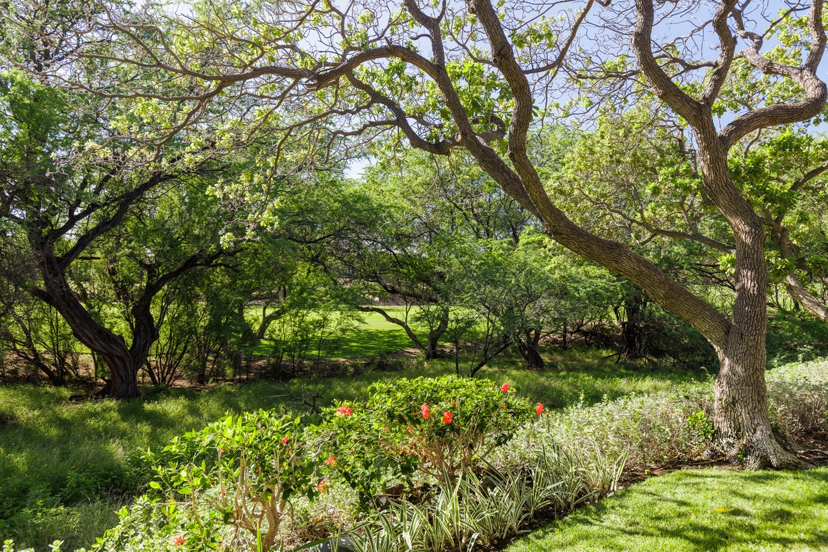 Big Island Listing Image