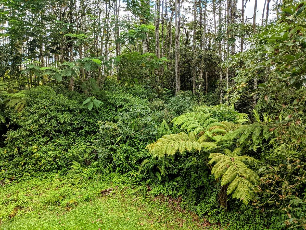 Big Island Listing Image