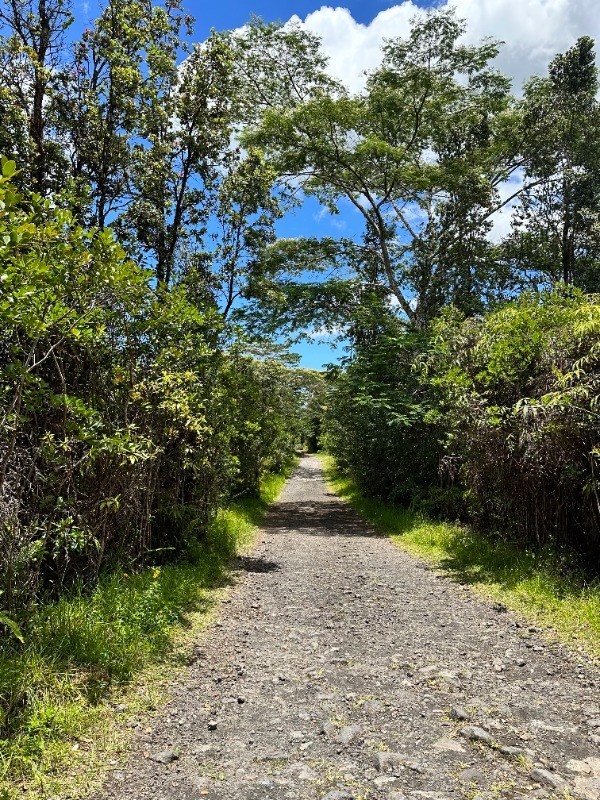 Big Island Listing Image