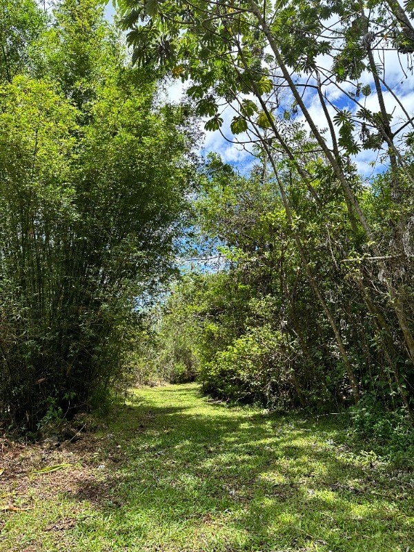 Big Island Listing Image