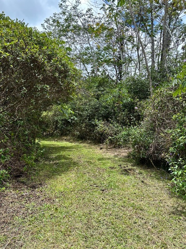 Big Island Listing Image