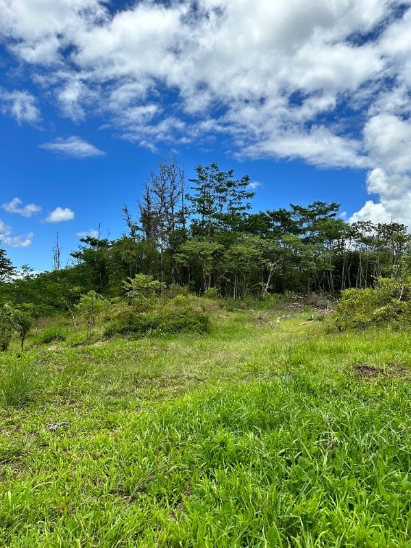 Big Island Listing Image