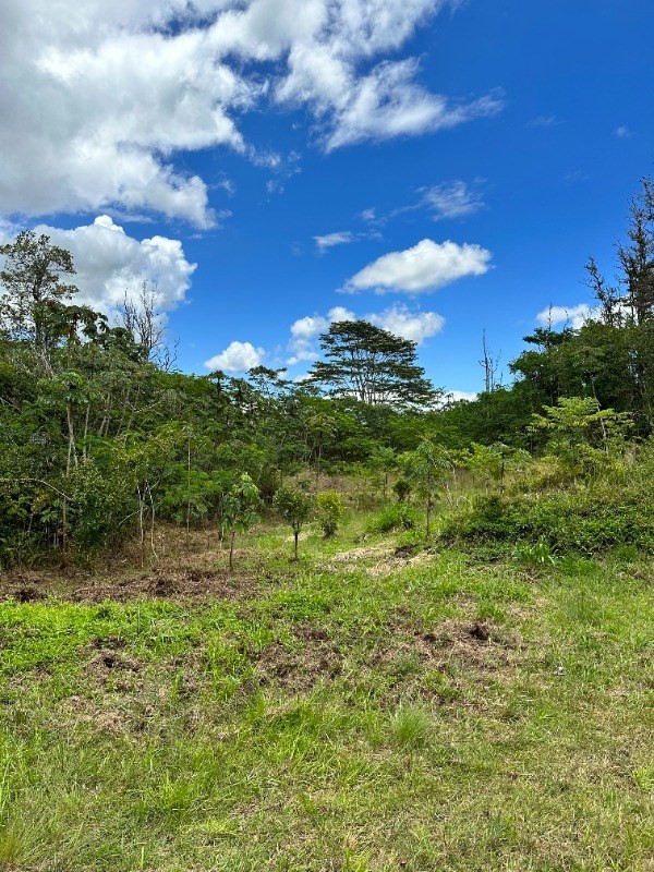 Big Island Listing Image