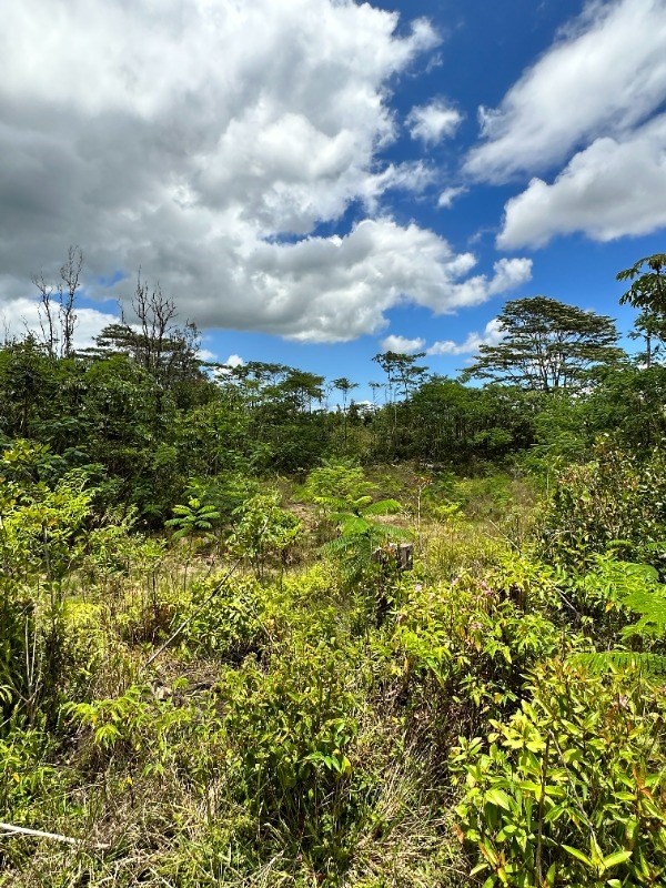 Big Island Listing Image