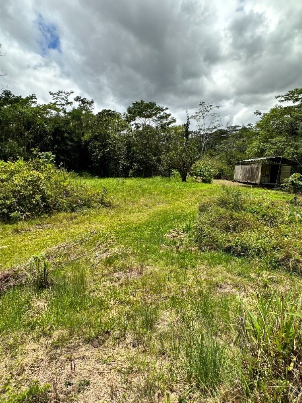 Big Island Listing Image