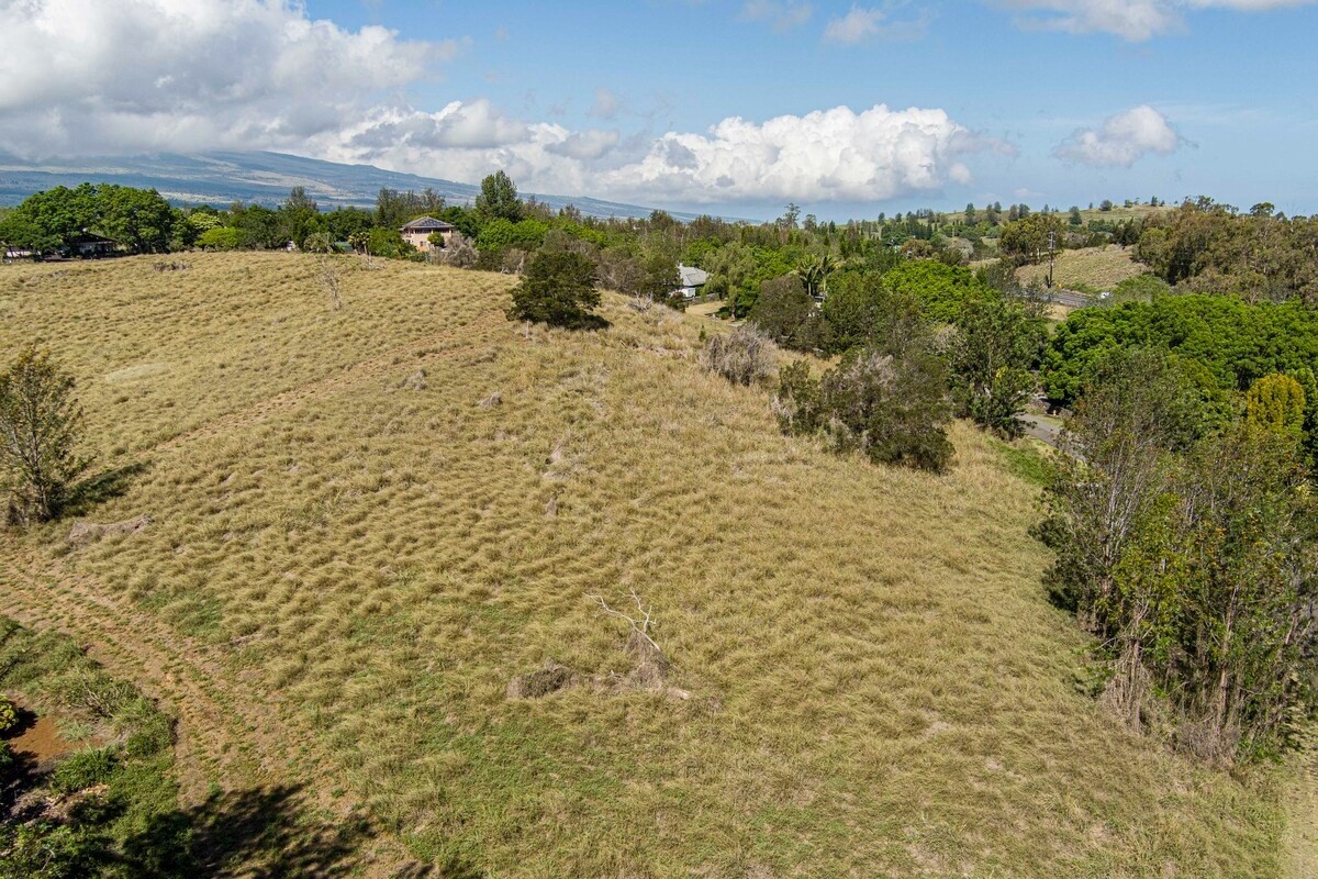 Big Island Listing Image