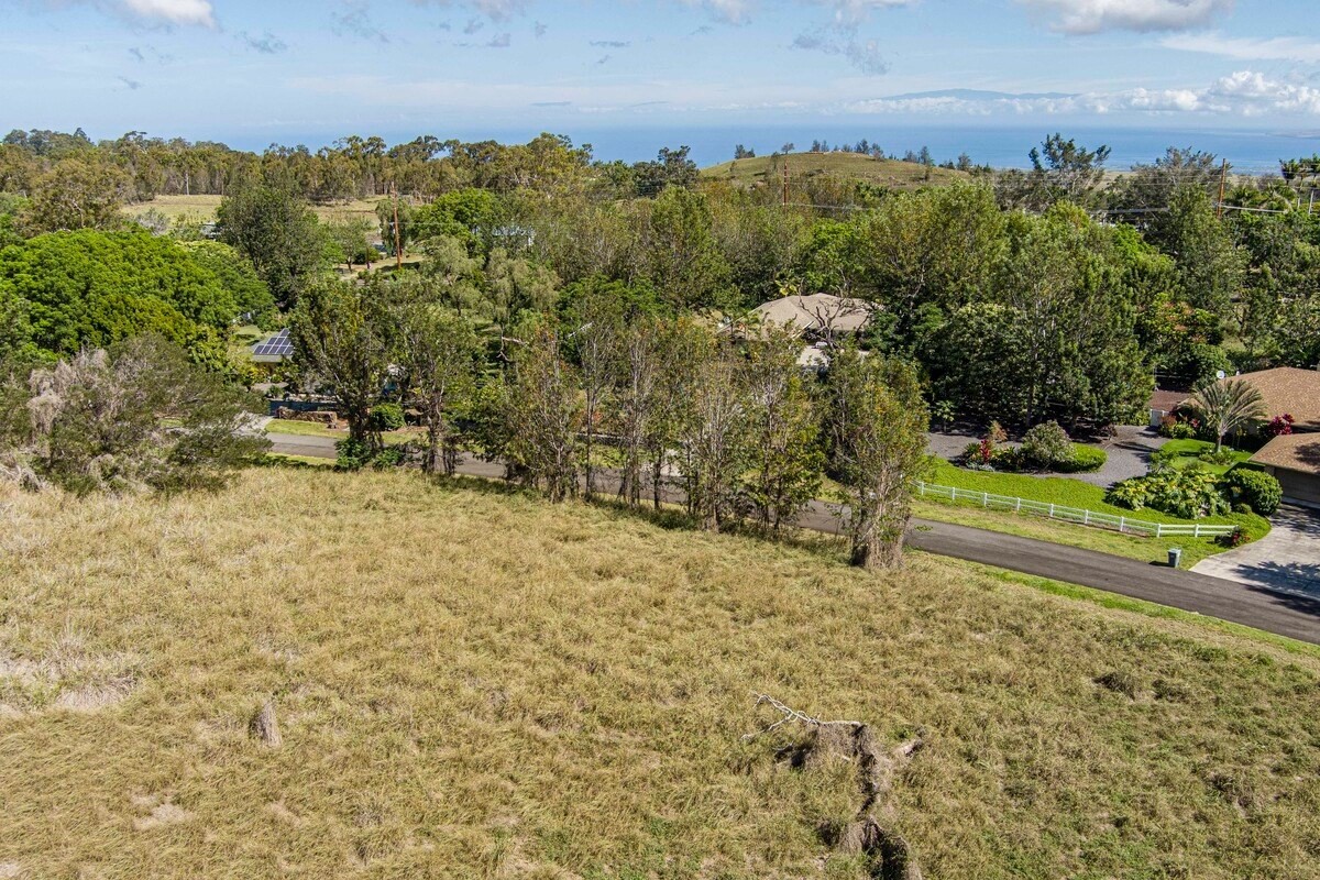 Big Island Listing Image