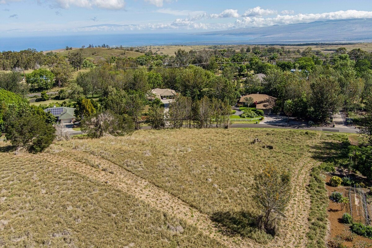 Big Island Listing Image